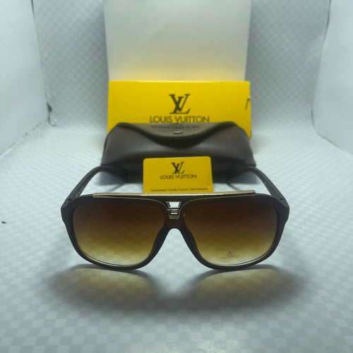LV Louis Vuitton EVIDENCE